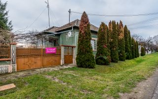 Casă + livadă tânără + curte 2.500 mp în Dorobanți - Poză 1
