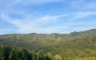 Super oferta I Vânzare Teren – Poiana Sohodol, Județ Alba - Poză 7