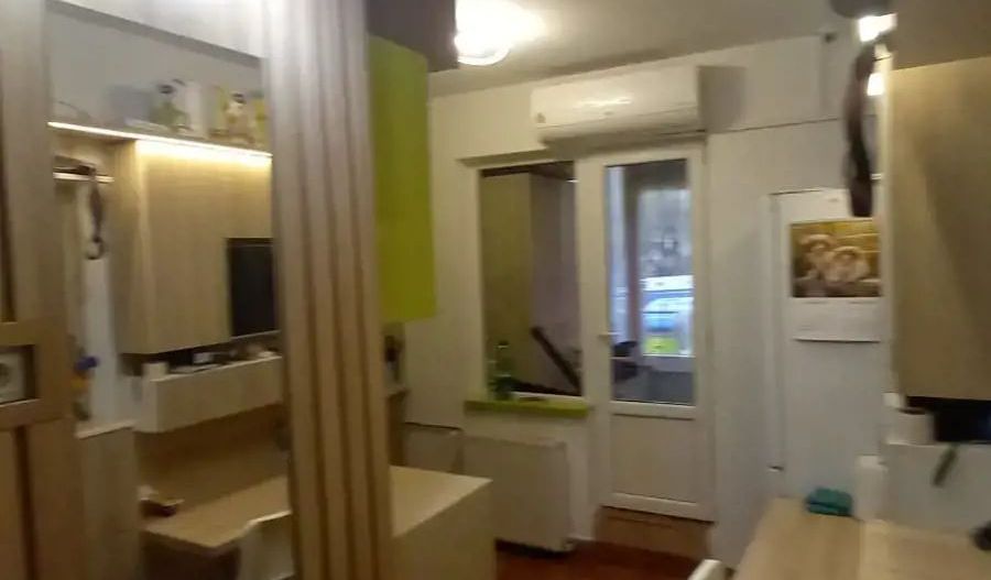 Garsoniera Vitan/Dristor - Poză 7