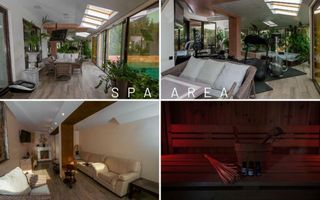 Vila grandioasa, Gradina Japoneza, SPA, Crama, Teren Tenis, Foisor, Iaz Pesti - Poză 6