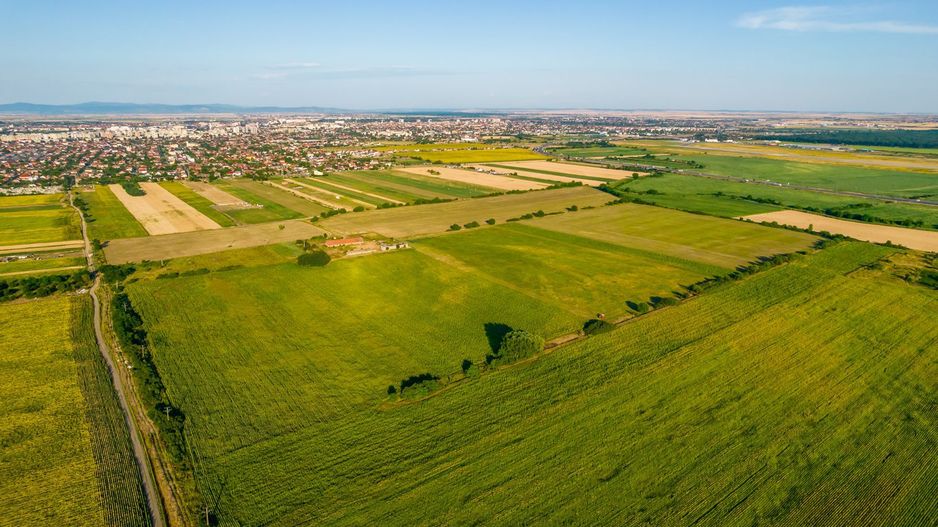 Teren de 10.000 mp situat în Bujac, Arad - Poză 6