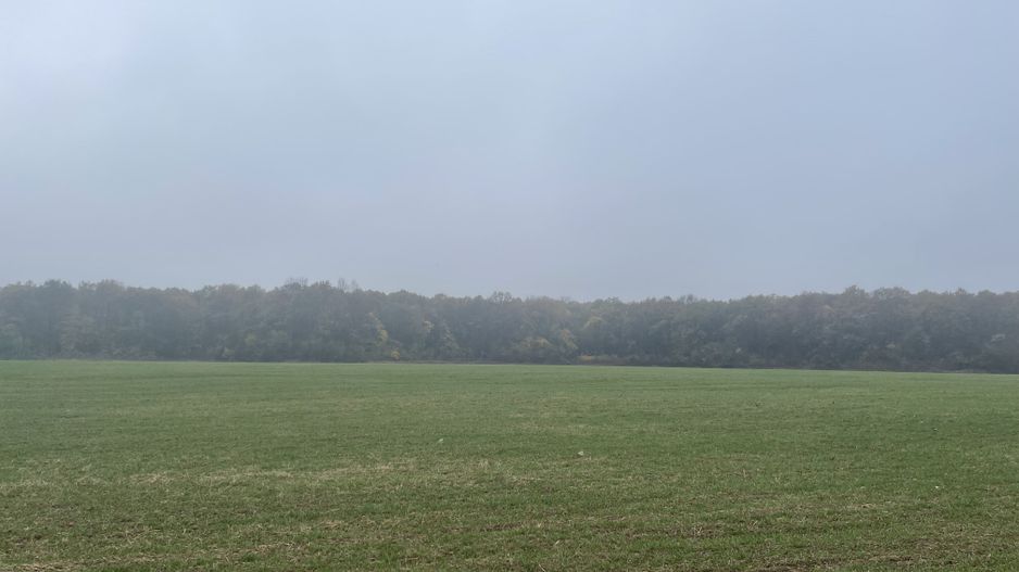 9400 mp | Ideal pentru investitie | Tunari | Deschidere la padure - Poză 8