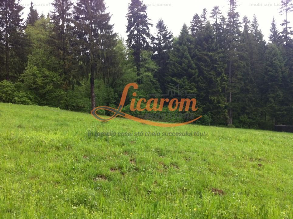 Teren intravilan Cotul Donului,pretabil Hotel/pensiune. - Poză 1