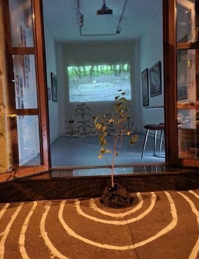 Spațiu Comercial || Birou de Inchiriat  ||  Vitrina Stradala ||  Zona Cișmigiu - Poză 8