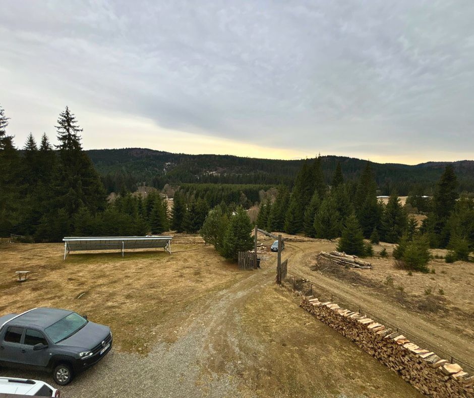 Vilă cu 10 camere P+2E+M 400 M² utili 2800 M² Teren Comandau - Poză 2