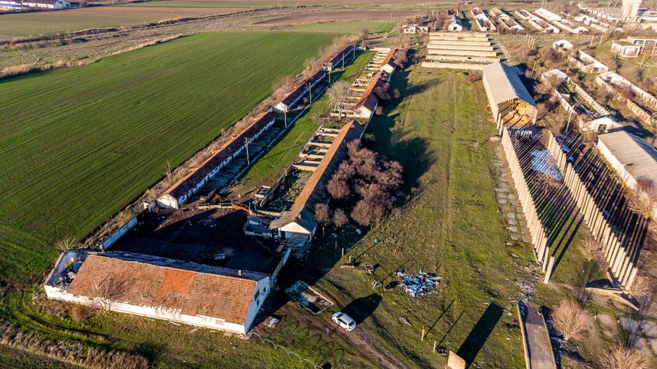 Ferma 1.15 HA lângă DN7 & Autostrada E68 – Nădlac | clădiri+utilități - Poză 5