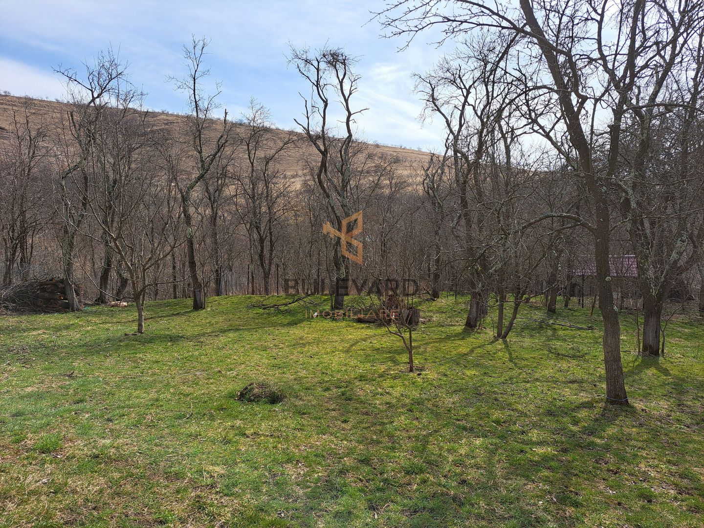 Teren intravilan 2200 mp in Ciurila la 16 km de Cluj-Napoca! - Poză 5