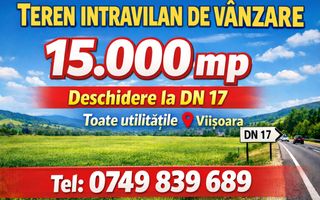 Teren intravilan 15.000 mp de vanzare - Bistrita - Viisoara - Poză 1