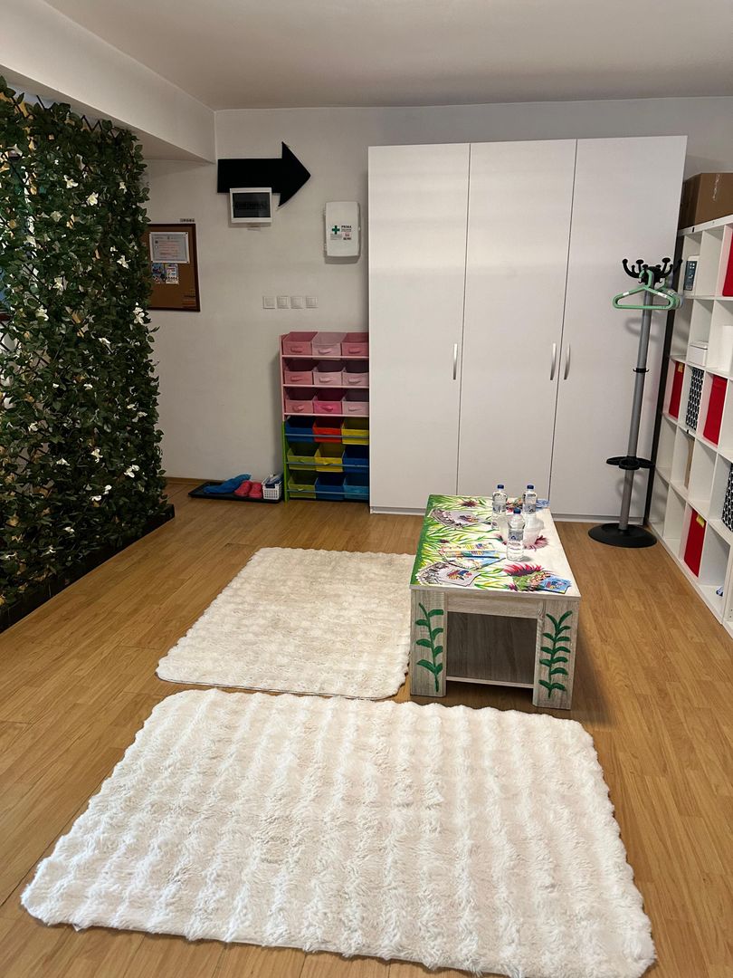 SPATIU COMERCIAL DOMENII, LOC PARCARE, CENTRALA, MOBILAT/UTILAT, CURTE - Poză 11