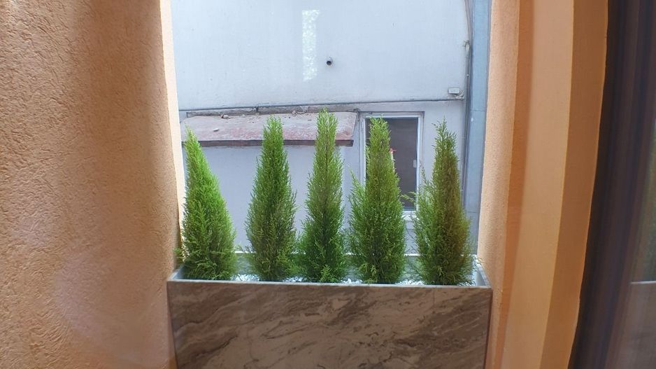 Apartament cochet Dorobanti - Aricescu - Poză 11