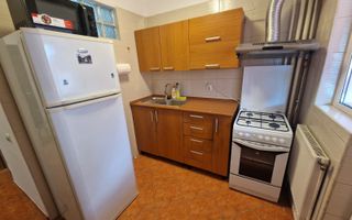 Garsoniera de inchiriat Pacii - Poză 4