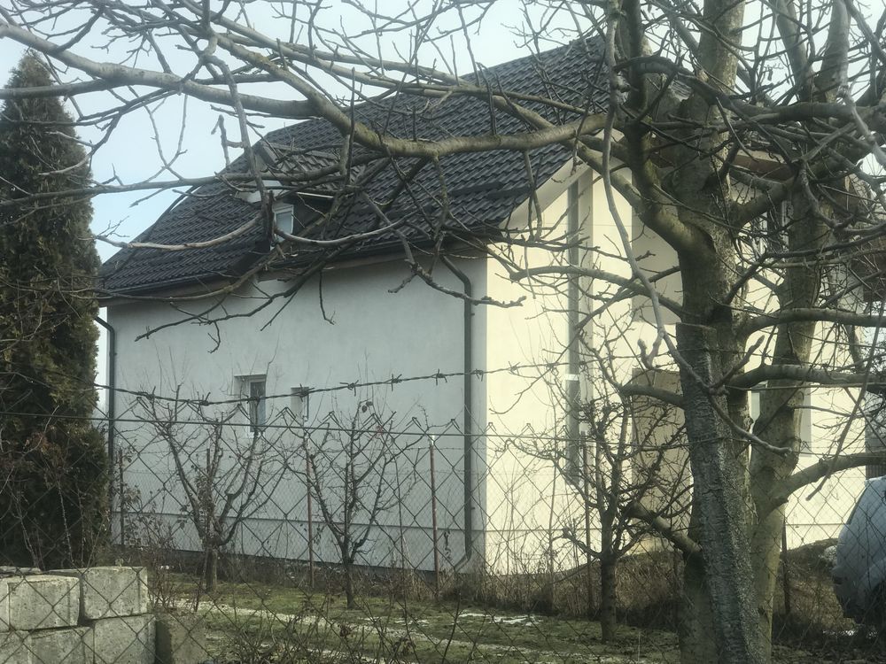 BRASADAS vinde casa in Paulesti. - Poză 4