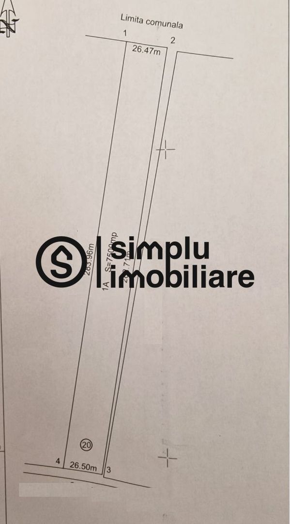 Teren Intravilan Carcea - Schiță 1