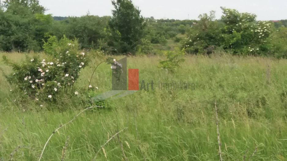 Teren cu iesire la lac - Poză 22