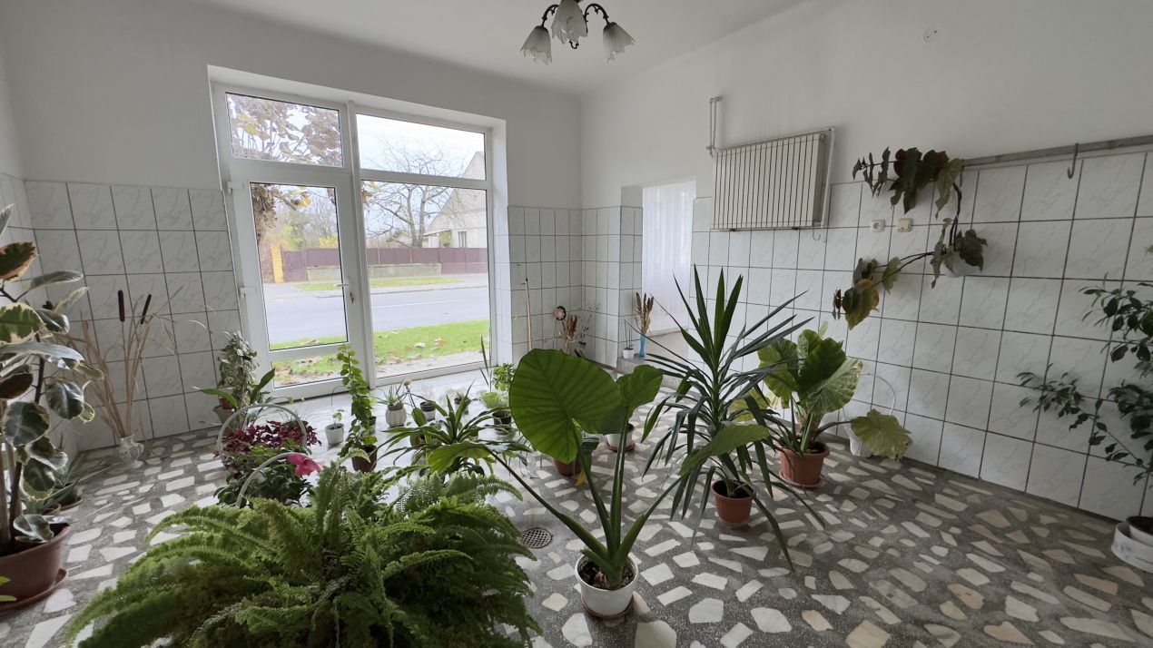 Casă 7 camere cu Teren 4.620 mp | Potențial pentru rezidență sau afacere | Carei - Poză 17