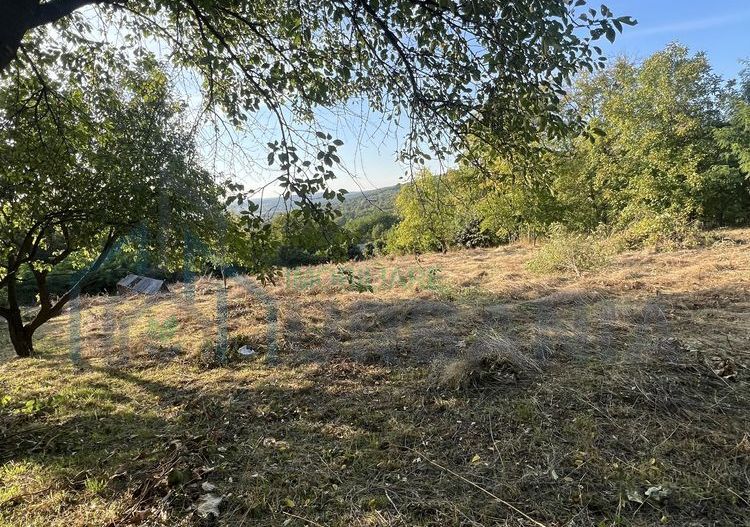 Teren intravilan 3003 mp cu casă bătrânească, fântână și curent electric în Dobrovat, Iași - Poză 8