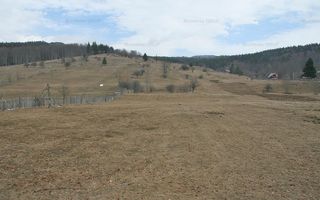 VALEA DOFTANEI - Traisteni, langa Conacul Dascalu, vanzare 2.537 mp. teren - Poză 10