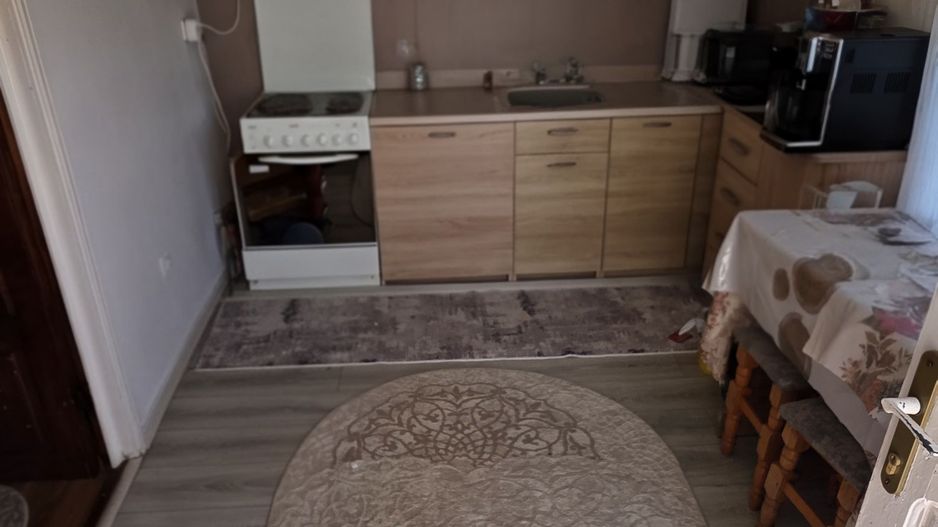 CASĂ individuală cu teren 1.040 mp, zona SATU-NOU, la 5 km de VASLUI; - Poză 5