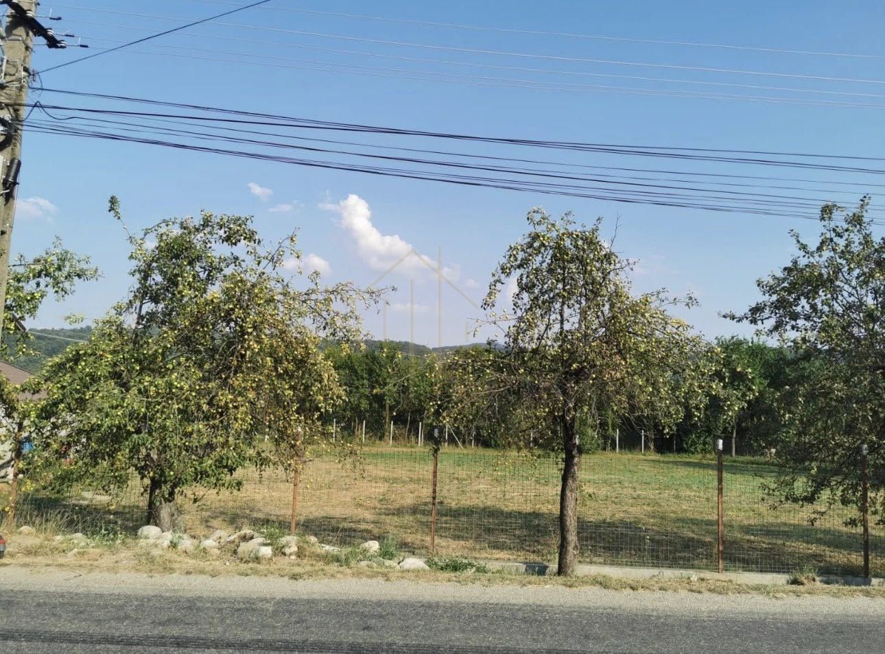 Teren de vanzare - Lupesti, com. Mănăstirea Cașin - Poză 1