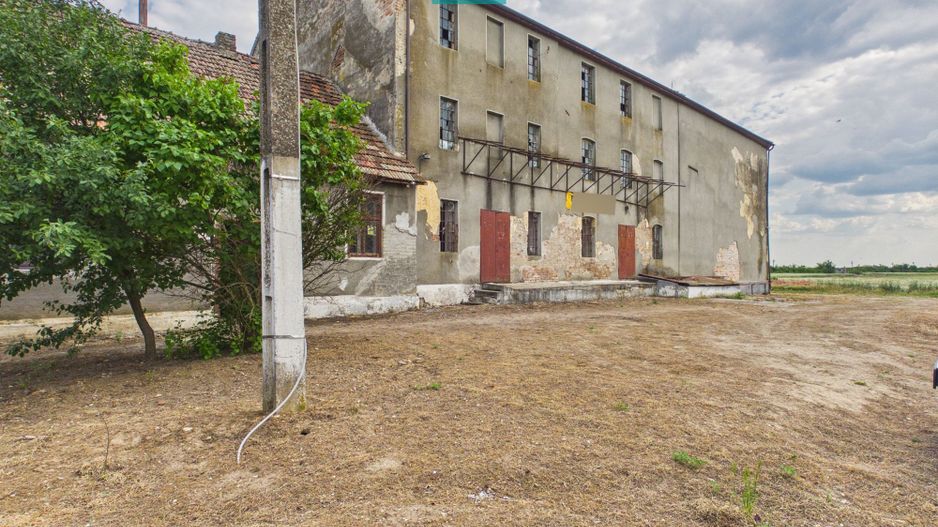 Moară cu brutărie pentru investiții în Secusigiu - Poză 22