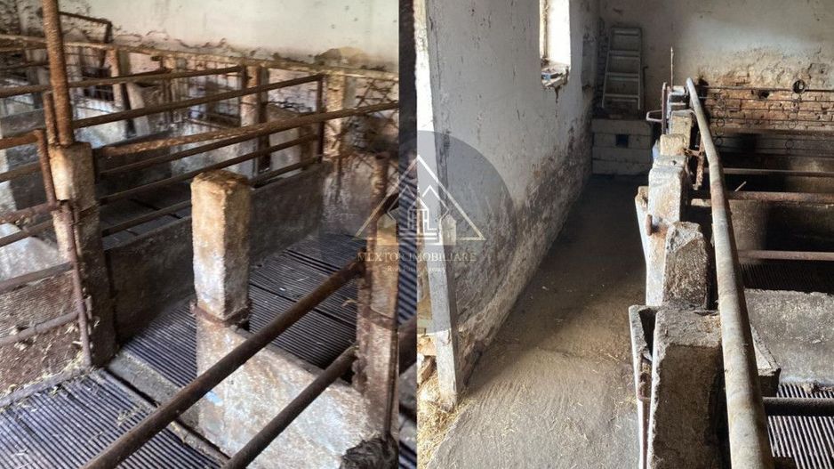 Fermă de vanzare - Poză 9