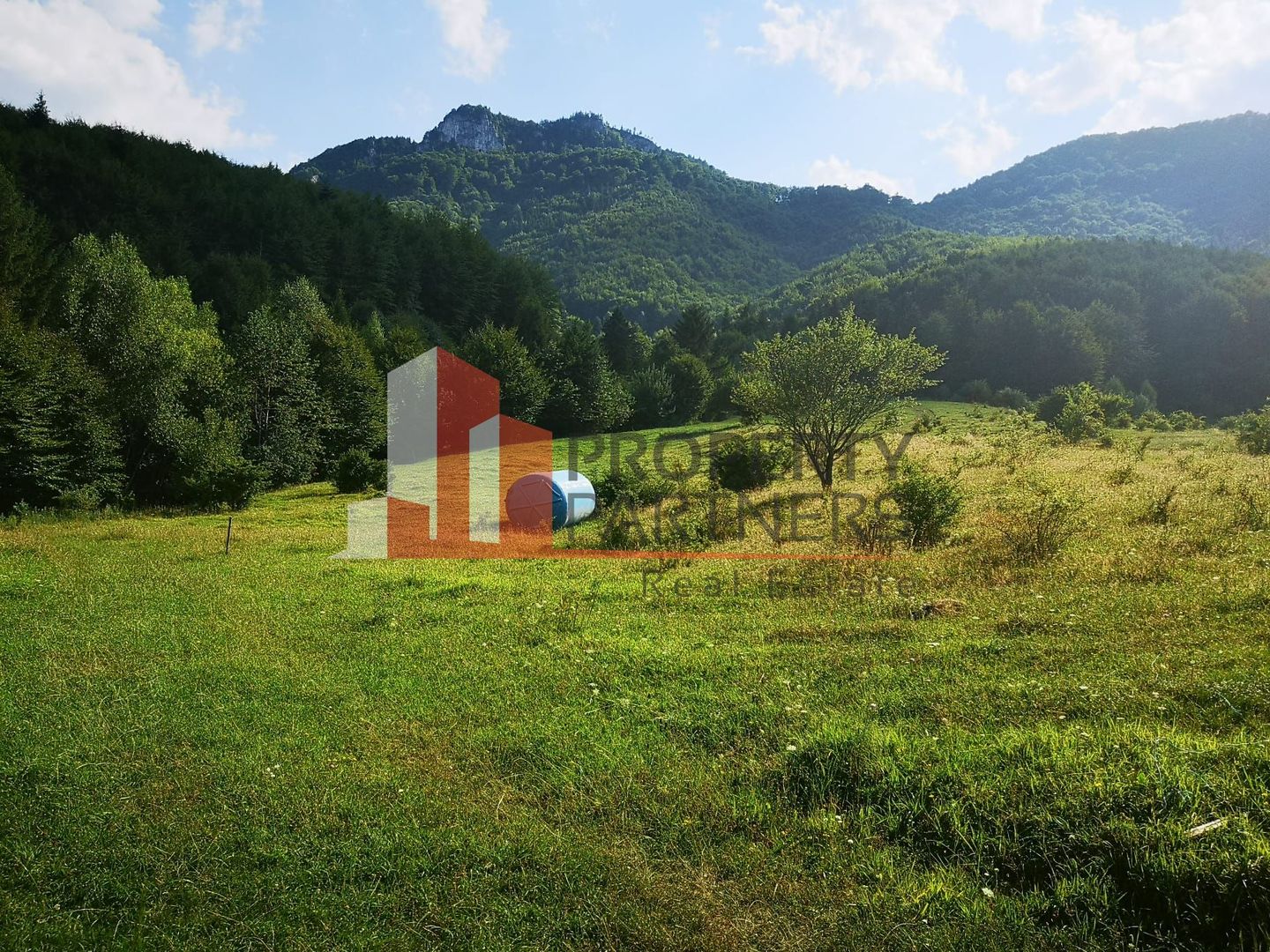 Teren Intravilan 1.500 mp | Vedere Panoramică| Tohanita - Poză 8