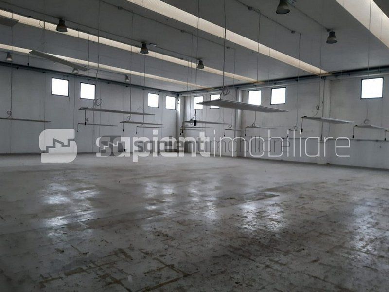 Sapient | Hala situata in com. Borș - Poză 3