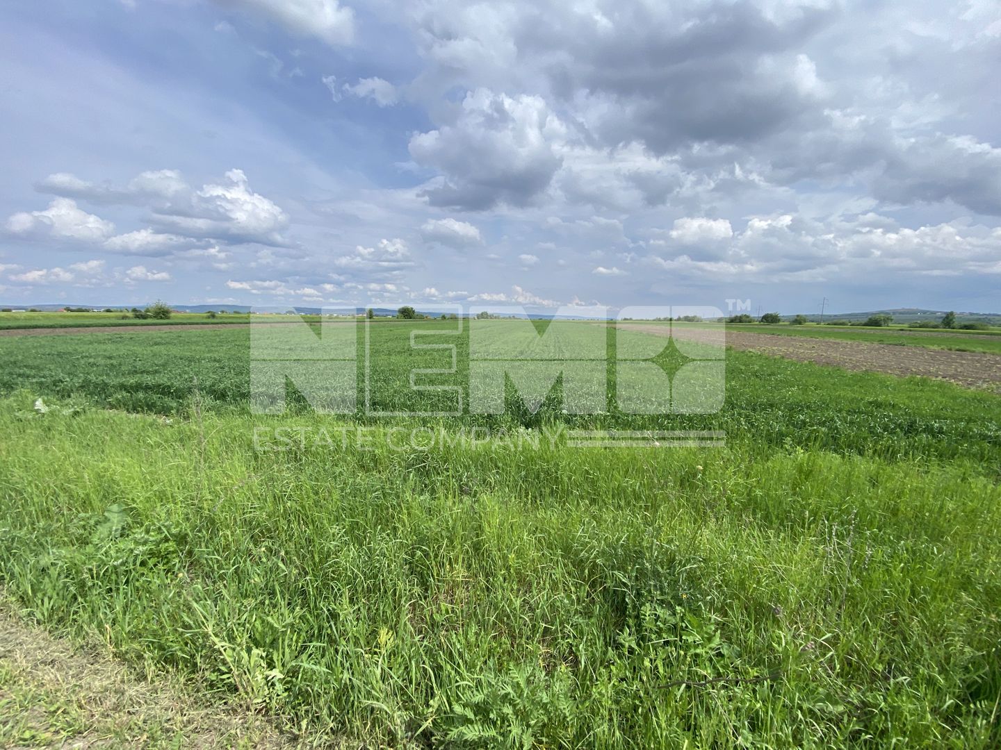 Teren Burla | Strada Principala | 78 ARI - Poză 2