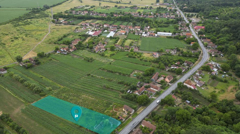 Casă tradiţională cu anexe în ODVOŞ, comuna Conop. - Poză 8