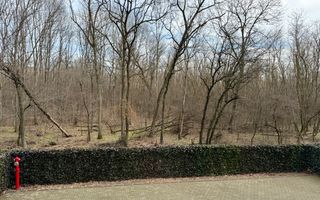 Apartament cu 4 camere *183mp* - Prima Inchiriere // Stejarii - Baneasa - Poză 66