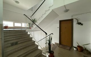 3 camere | Teiul Doamnei | Bloc din 83 | Reabilitat - Poză 16