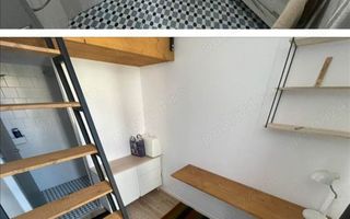 Apart deosebit pe malul Begai - Poză 14