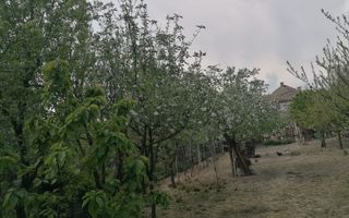 Ag EUROPA vinde casa 6 cam teren 11 ari în zona 14 Mai. - Poză 1