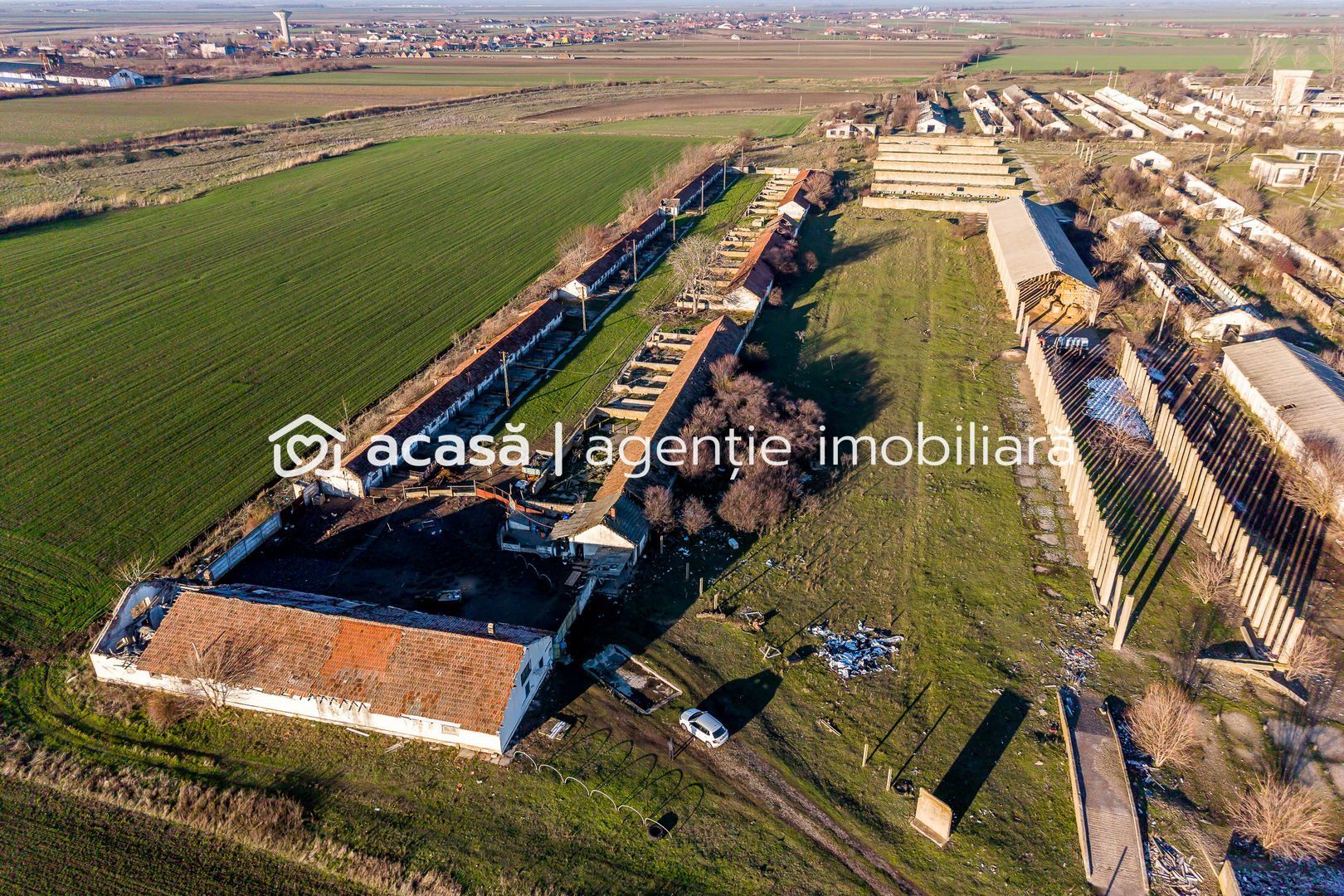 NĂDLAC | Teren 1.15 HA lângă Autostradă | 2.500mp Hale - Poză 5