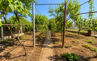 Casă cu 3 dormitoare și teren de 539 mp, Satu Mare str St, O Iosif - Poză 20