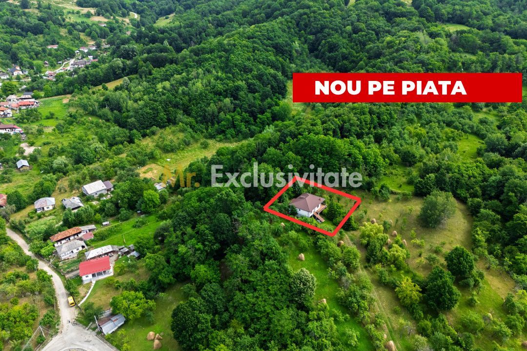 Proprietate de poveste în Corbi, Argeș - Doua case si 6300 mp teren intravilan - Poză 1