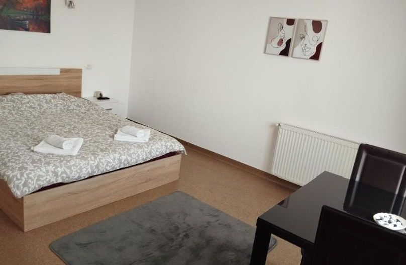 Afacere la cheie! Hotel - restaurant cu peste 40 locuri  cazare - Poză 7