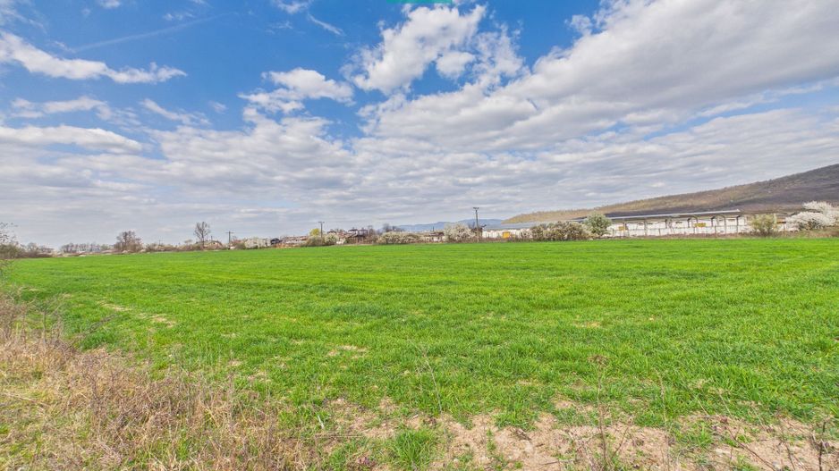 Teren extravilan, 1 ha, în orașul Sebiș, Arad - Poză 2