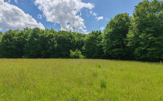 2,6 HA TEREN EXTRAVILAN FANEATA, in Muntii Apuseni, Negreni, jud. Cluj - Poză 1