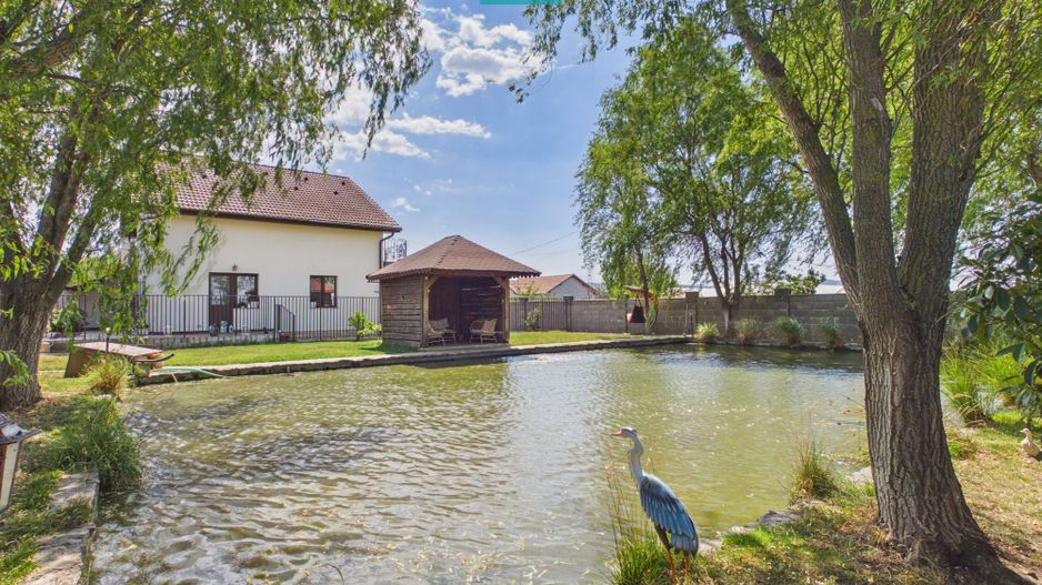 Vilă unică în Șiria | 160 mp utili | Teren 945 mp - Poză 4
