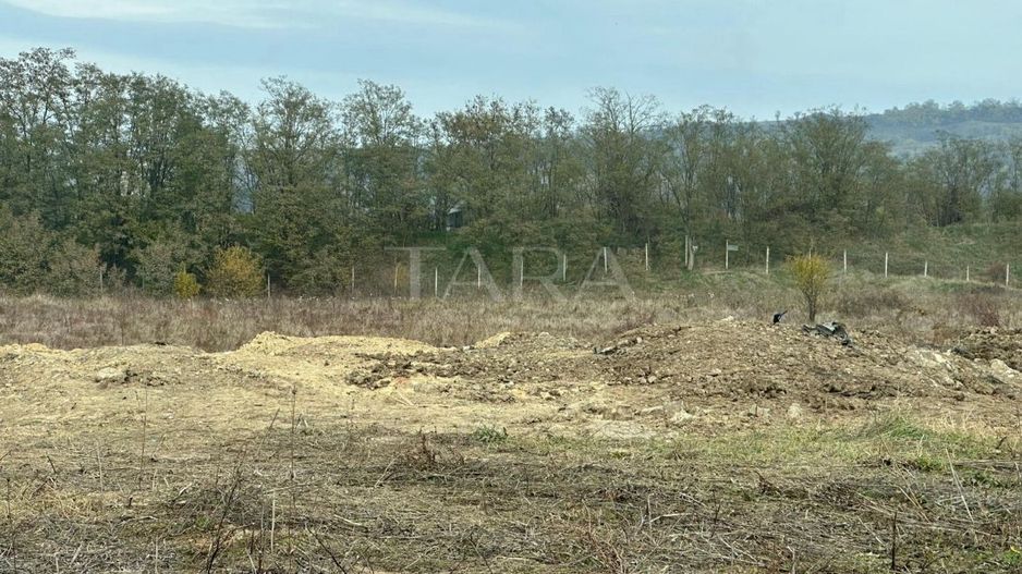 Teren pentru investiție în plină dezvoltare - Poză 2