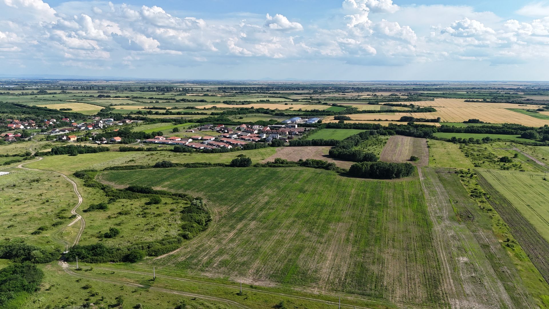 TEREN ZONA MOSNITA NOUA- ALBINA - Poză 7