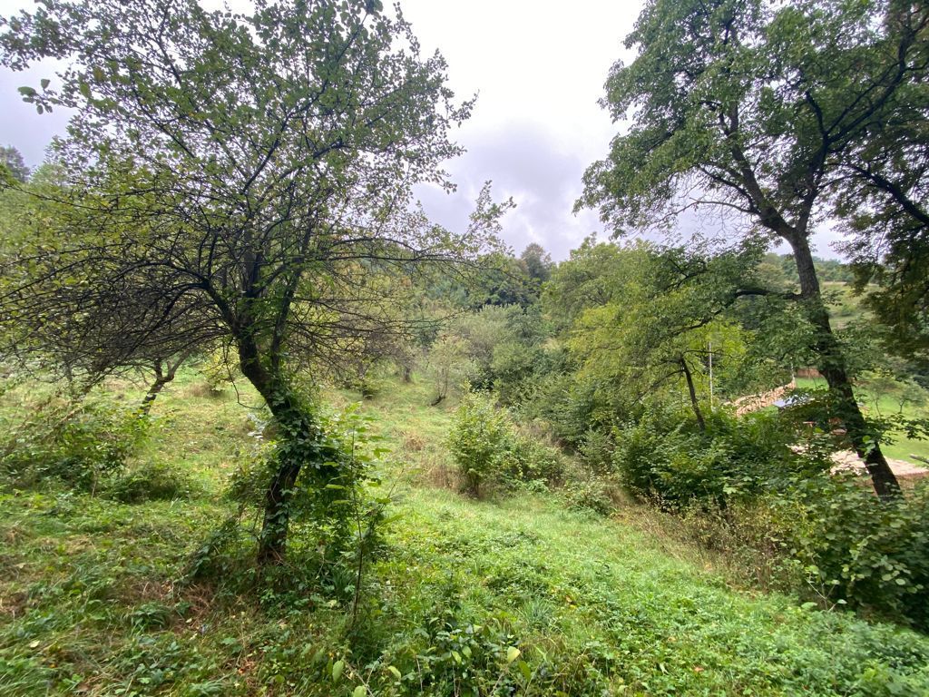 OPORTUNITATE TEREN DEZVOLTARE REȘEDINȚĂ IMOBILIARA DE LUX - Poză 6