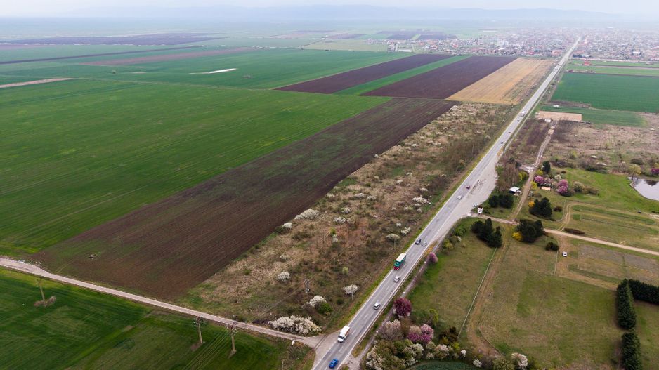 Teren de 41800 mp ieșire Vladimirescu - Poză 8