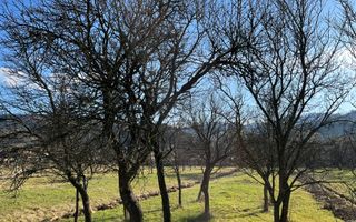 Casa+teren Bistrita-Bargaului - Poză 20