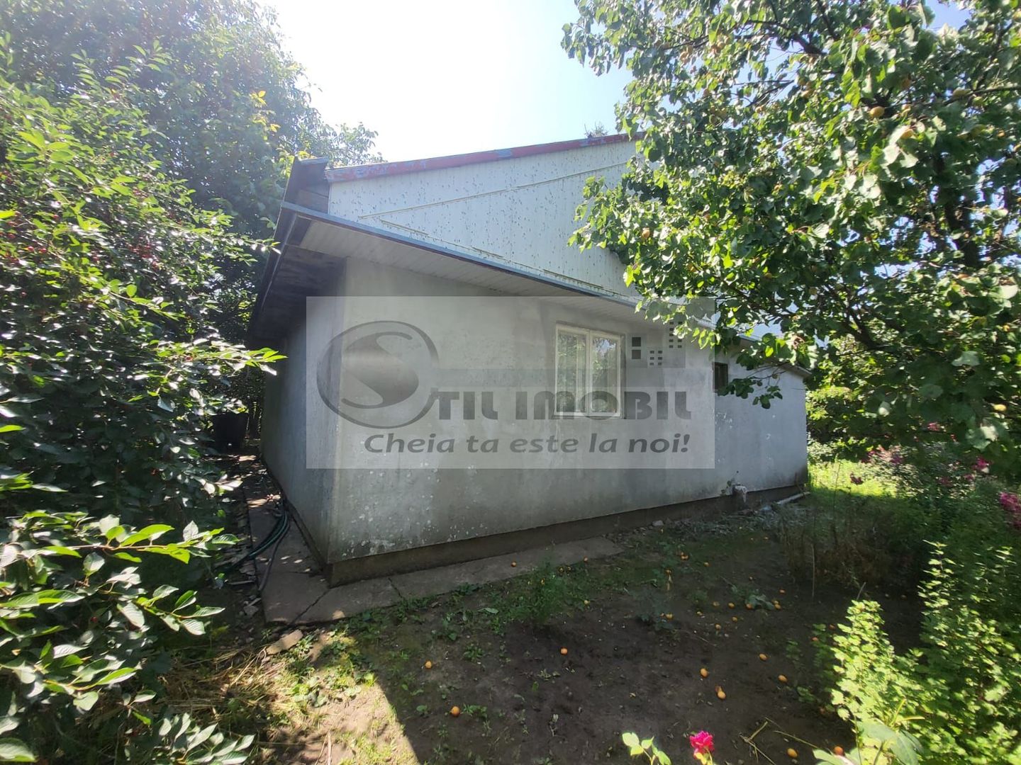 Casă individuala 4000mp teren com Alexandru Ioan Cuza sat Kogalniceni - Poză 7