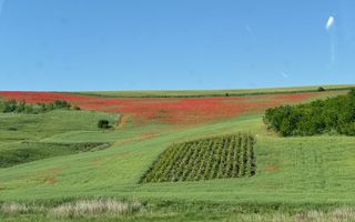 Teren de vânzare, 1.400 mp, Sat Tăutești, Comuna Rediu - Poză 1
