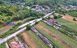 AZURA Imobiliare - Teren Budeasa Galasesti Calotesti - Poză 16