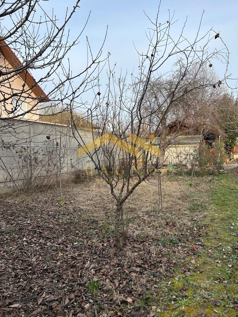 TEREN DE VANZARE CU CASA DE VACANTA IN ZONA MURESEL - Poză 6