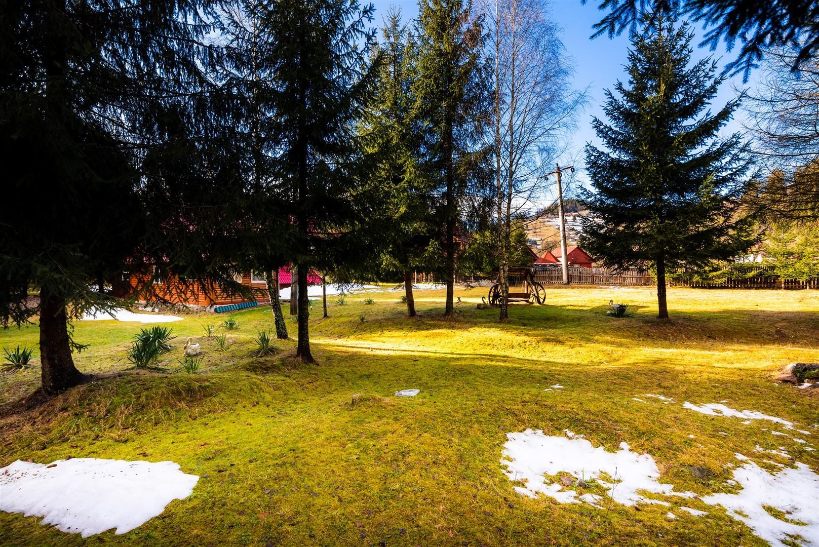 Cabane cu 10 camere Arieseni - Poză 20